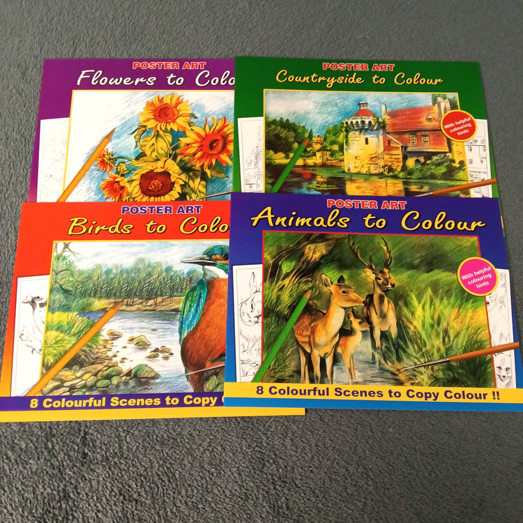 Adult Activity Books