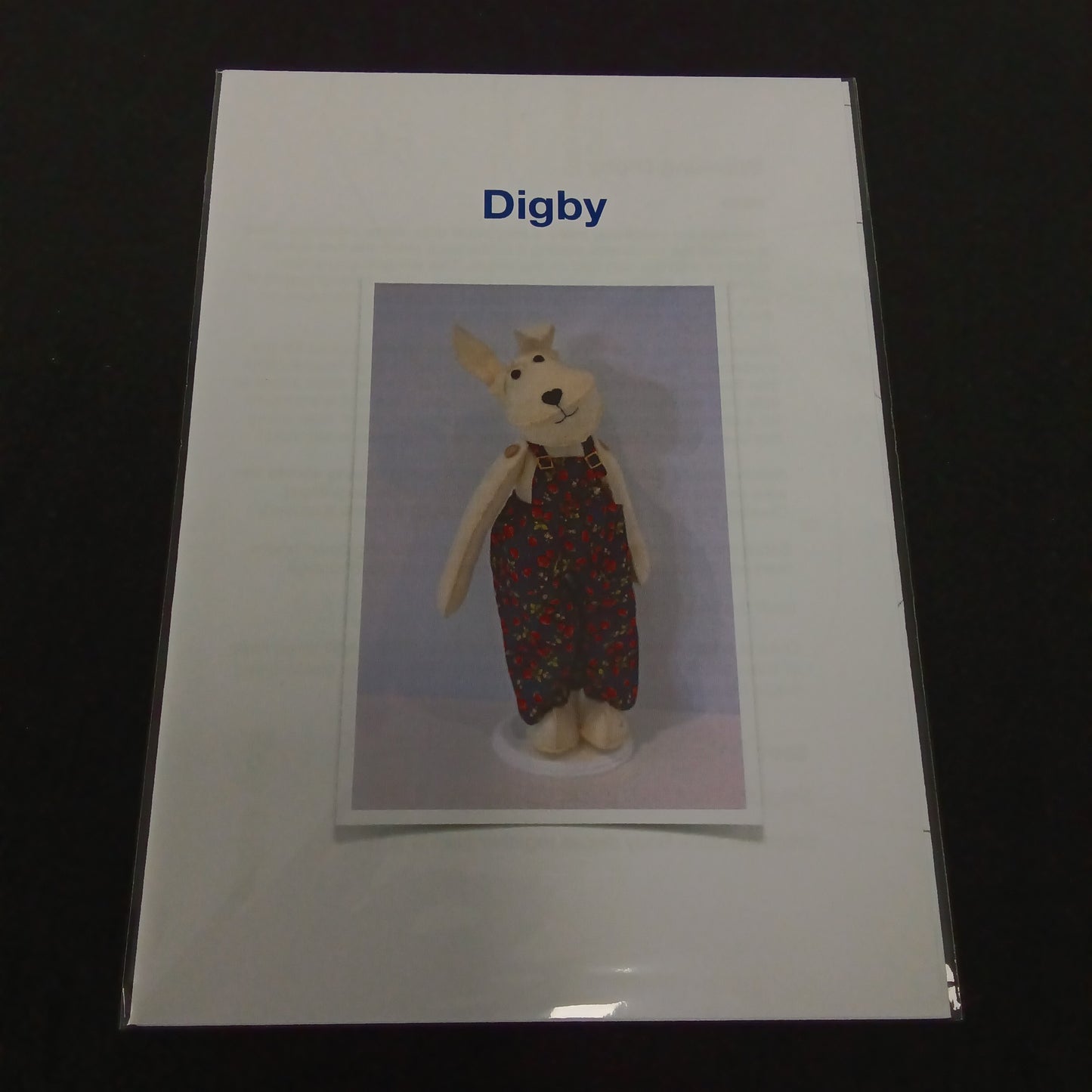 Sewing Pattern - Digby