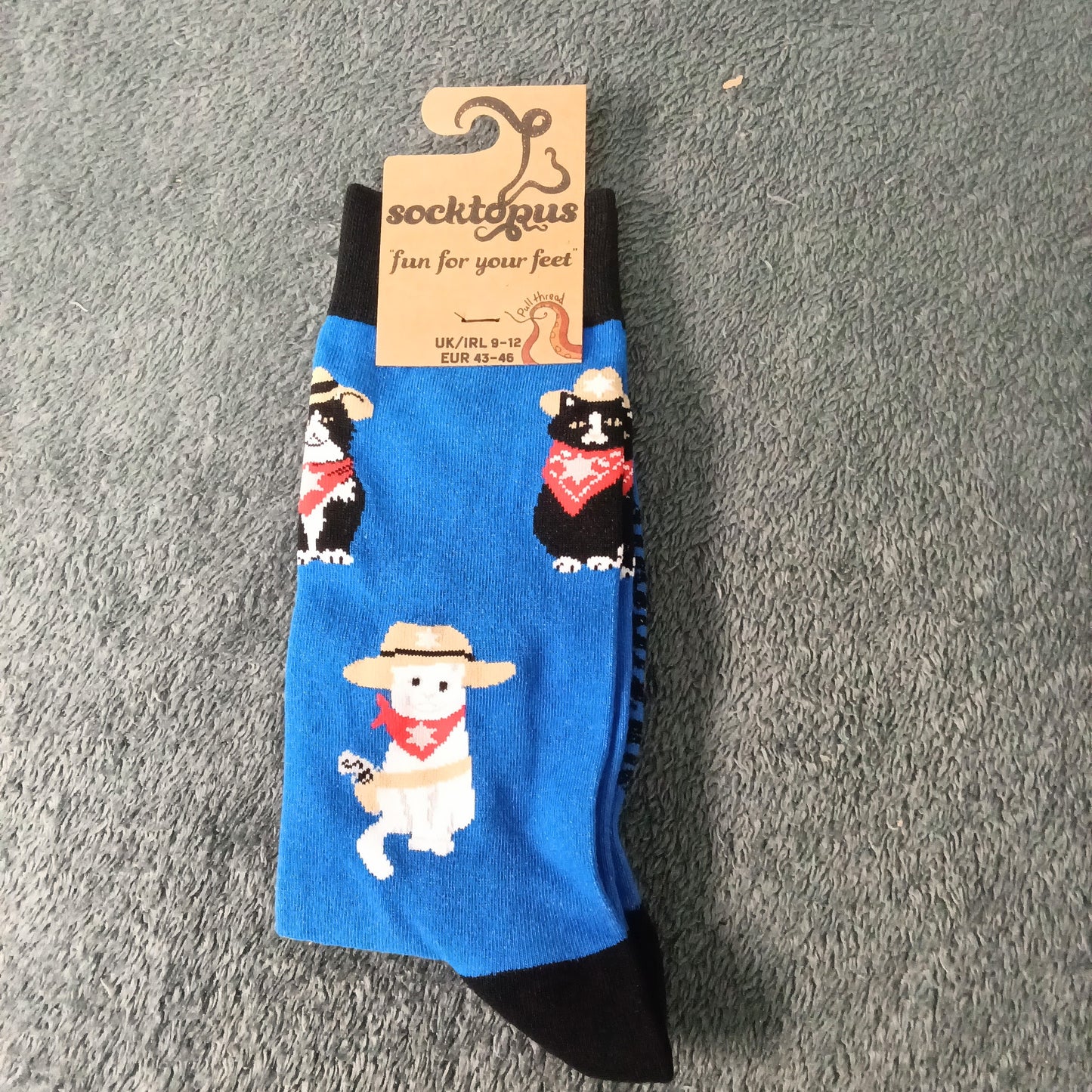 Cowboy Cat Socks - Adult 9-12, Royal blue and black