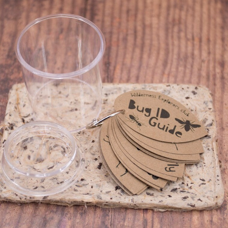 Children's Nature Journal, Leaf & Bug Guides and Natural Stick Pencil Set