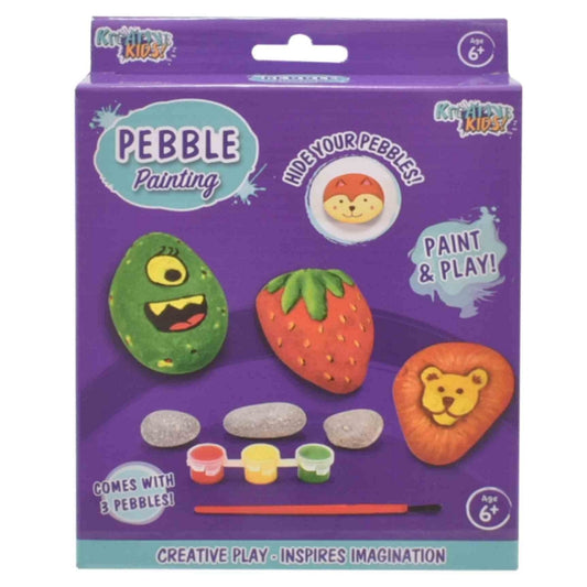 Pebble Painting Kit