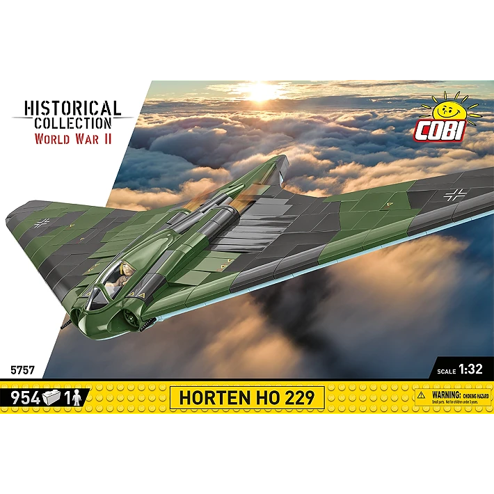 Horton Ho 229