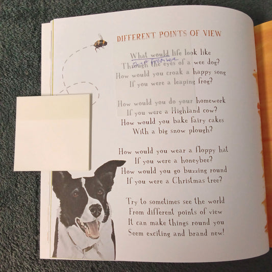 Sticky Notes, Transparent